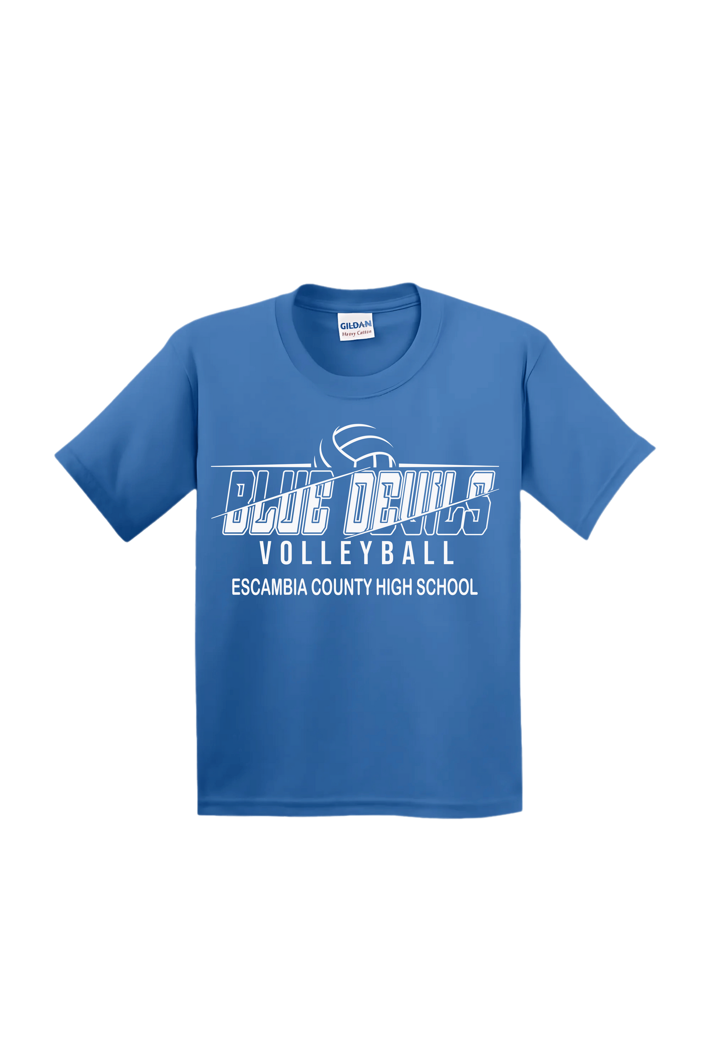 BLUE DEVILS VOLLEYBALL