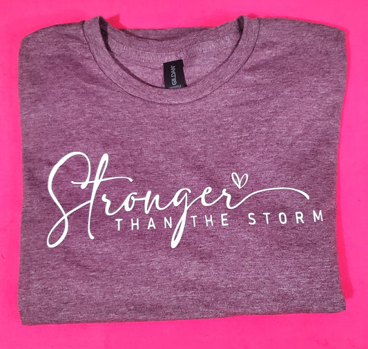 Stronger than the Storm 2